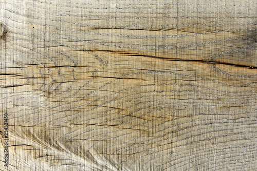 Holz Hintergrund Makro natur