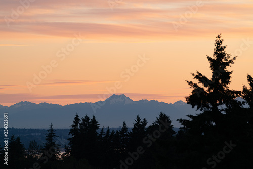 warm pine tree sunset panorama with mountain background