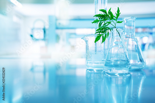 green leave in biotechnology science research laboratory with flask beaker cylinder and water in blue  background
