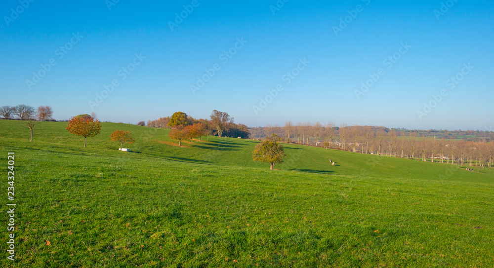 Rural hilly landscape in fall colors in sunlight in autumn