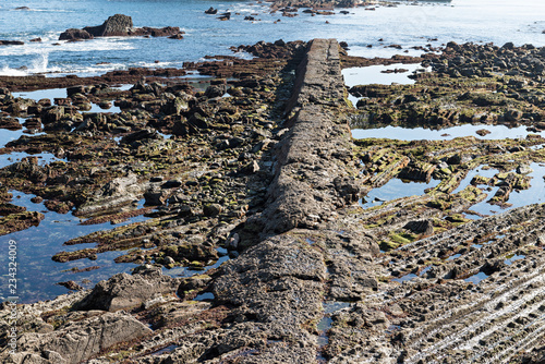 Obraz na plátně FLYSCH - Set of facies rocks of sedimentary origin