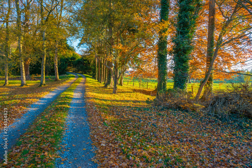 Rural hilly landscape in fall colors in sunlight in autumn Rural hilly landscape in fall colors in sunlight in autumn