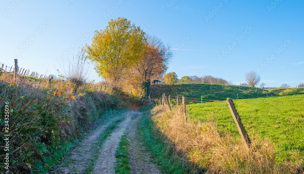 Obraz premium Rural hilly landscape in fall colors in sunlight in autumn