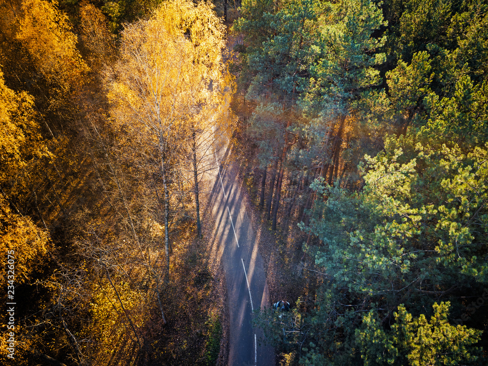 Aerial view of autumn forest with a road. Captured from above with a drone