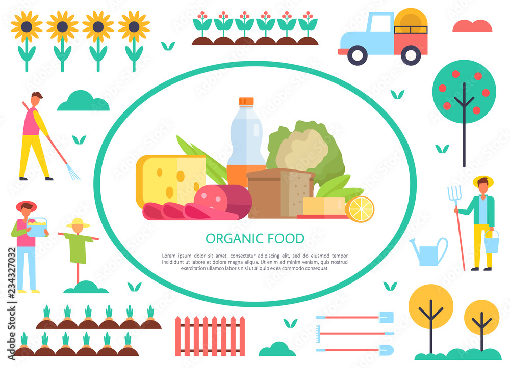 Organic Food Poster Farming Vector Illustration