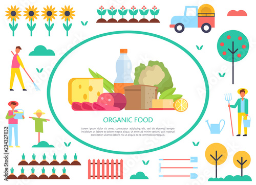 Fototapeta Naklejka Na Ścianę i Meble -  Organic Food Poster Farming Vector Illustration