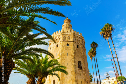 famous Torre del Oro in Seville  Spain