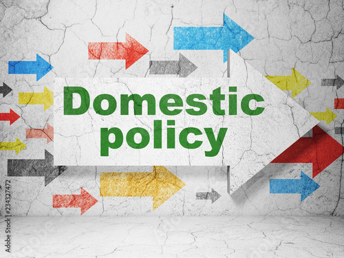 Political concept   arrow with Domestic Policy on grunge textured concrete wall background  3D rendering