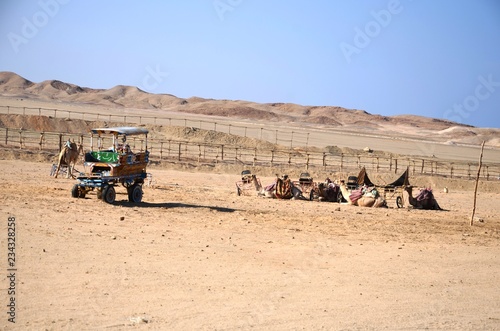 Camp b  douin dans le d  sert du Sud-Est de l   Egypte  