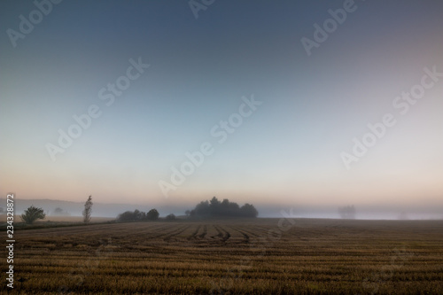 foggy dawn on a field