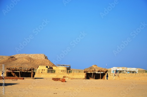Camp b  douin dans le d  sert du Sud-Est de l   Egypte  