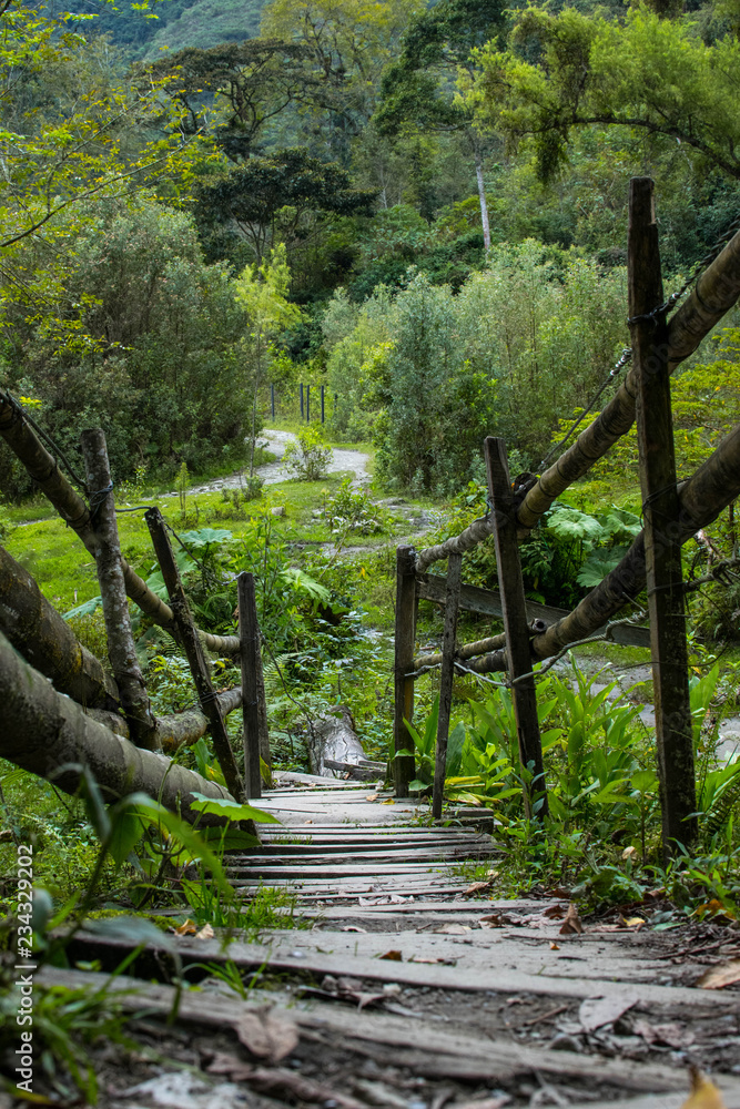 Fototapeta premium Un puente hacia los senderos del Cañon del Combeima. (Juntas, Tolima - Colombia)