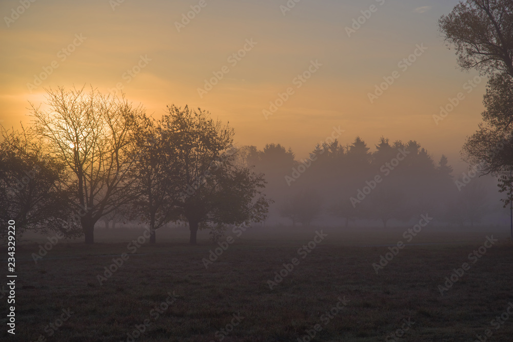 Herbstsonne