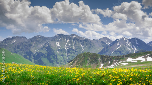 beautiful mountains scenery with flowers