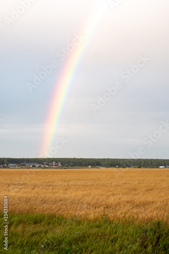 vertical orientation photo of the rainbow and fields to forest