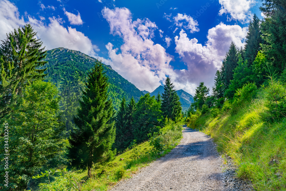 Fototapeta premium Wanderweg in den Bergen mit Aussicht auf Allgäuer Alpen