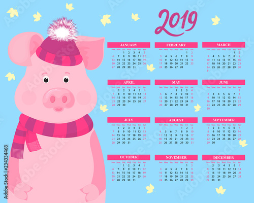 Calendar for 2019 from sunday to saturday. Cute pig in a striped hat with a fluffy pompon and scarf. Chinese New Year.