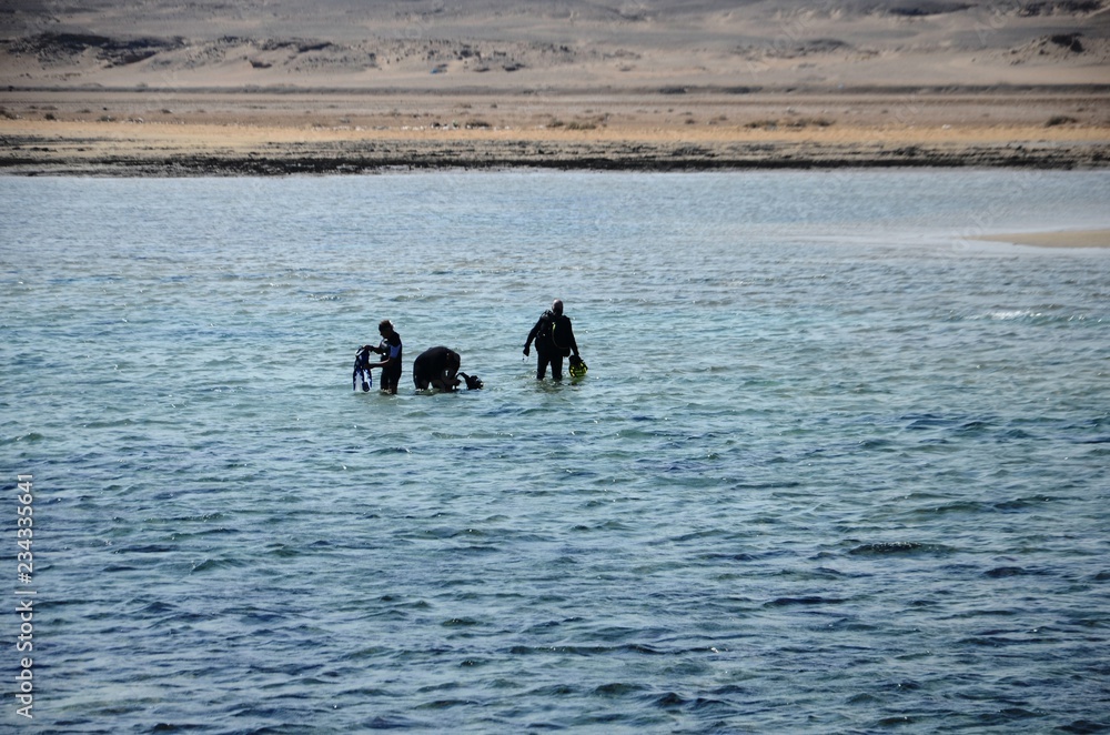 Plongeurs sur le site d’Abu Sail (Marsa Alam- Egypte)
Plongeurs sur le site d’Abu Sail (Marsa Alam- Egypte)