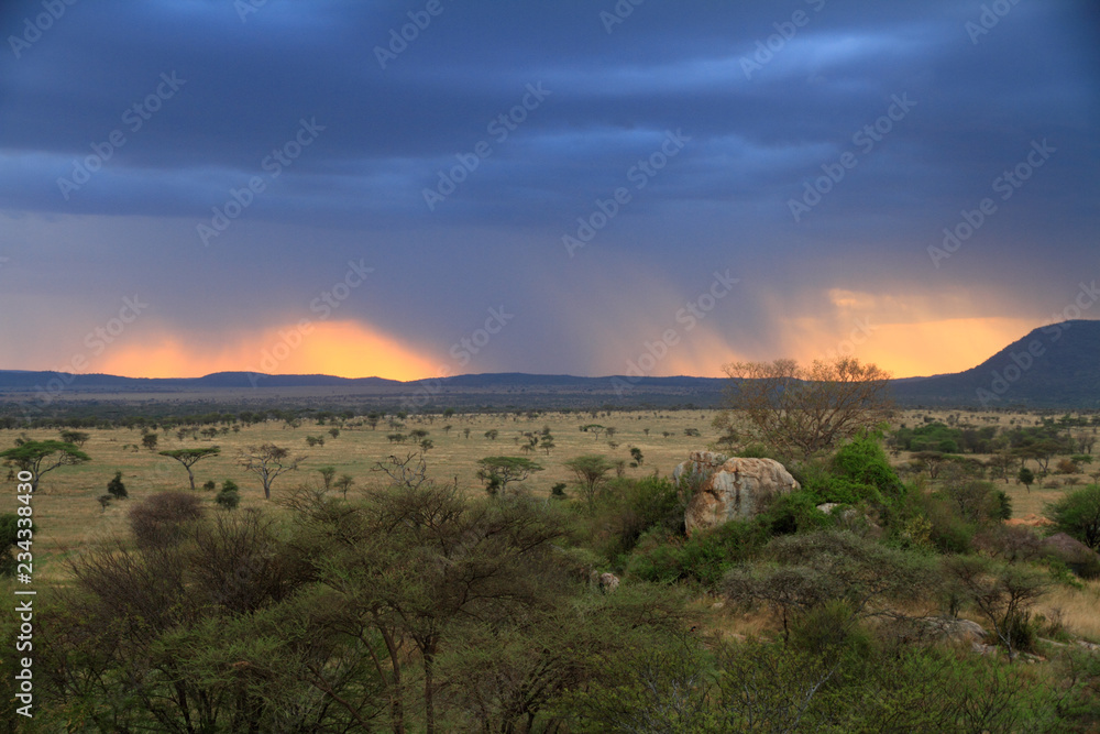 Stormy Sunset Over African Savannah