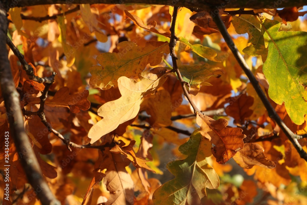 Herbst Herbst