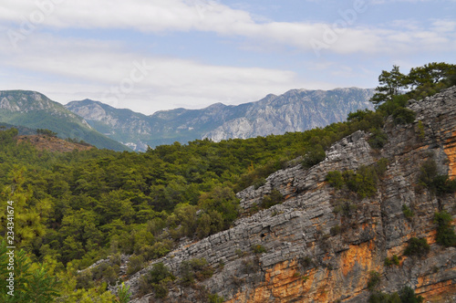 landscape in the mountains