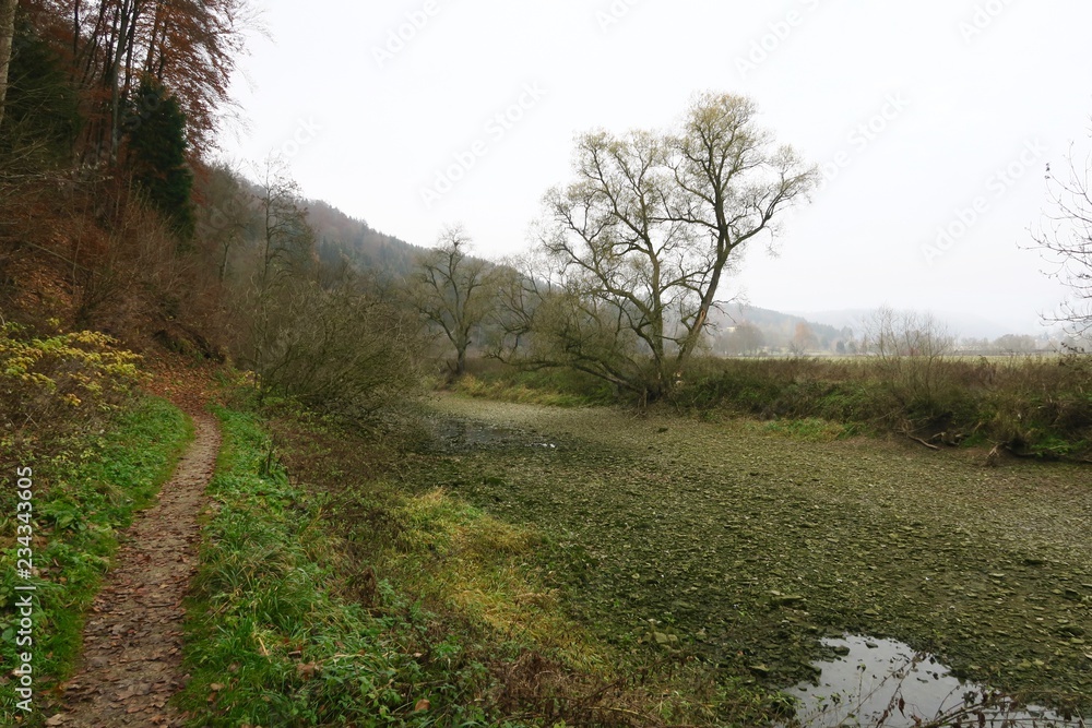 Ausgetrocknetes Flussbett der Donau bei der Donauversinkung in Immendingen (Kreis Tuttlingen)