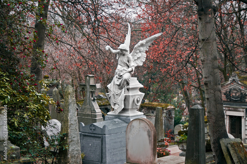 Fototapeta premium Cementerio