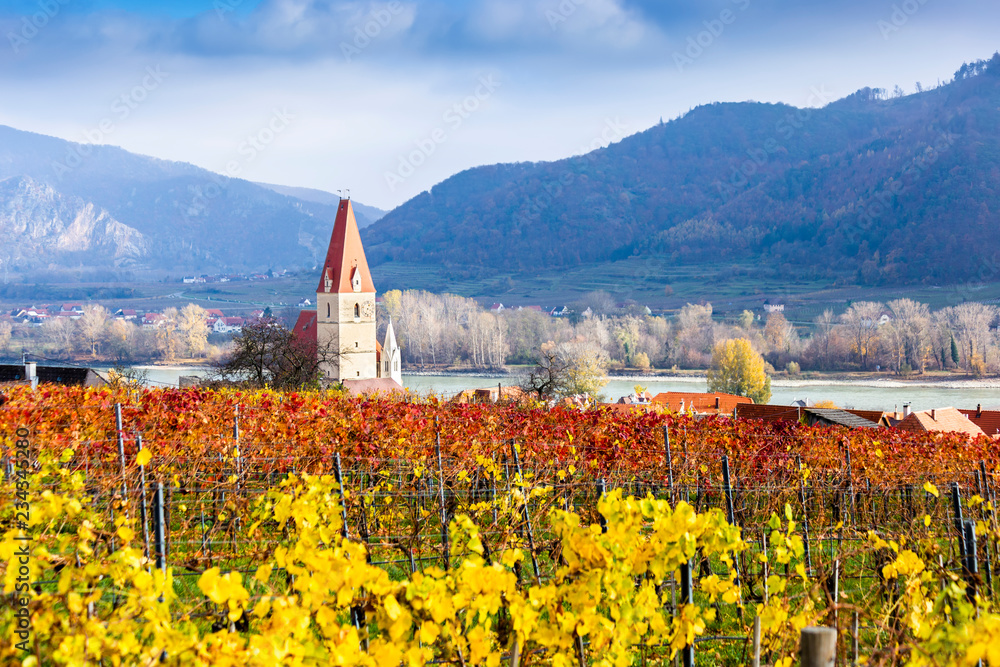 Weissenkirchen. Wachau valley. Lower Austria. Autumn colored leaves and vineyards on a sunny day.