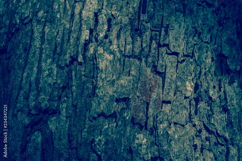 Wood bark background from Phuket island beach Thailand Wood bark background from Phuket island beach Thailand