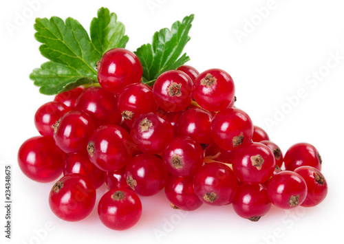 Red currant on white background
