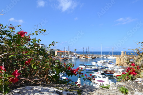 Wallpaper Mural The harbour of Kyrenia, Cyprus  Torontodigital.ca