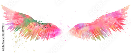magic watercolor wings