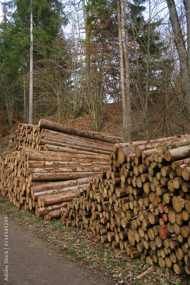 Holzstapel am Wandweg in Immendingen (Kreis Tuttlingen)