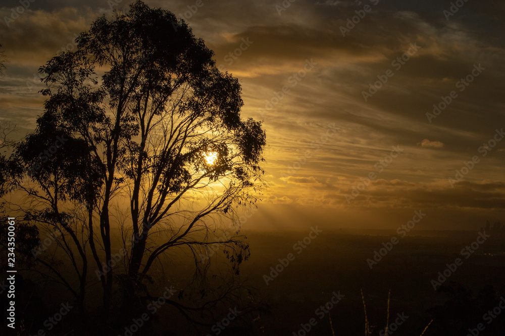 Beautiful sunset landscape from Mundarin area sillouettes of trees
