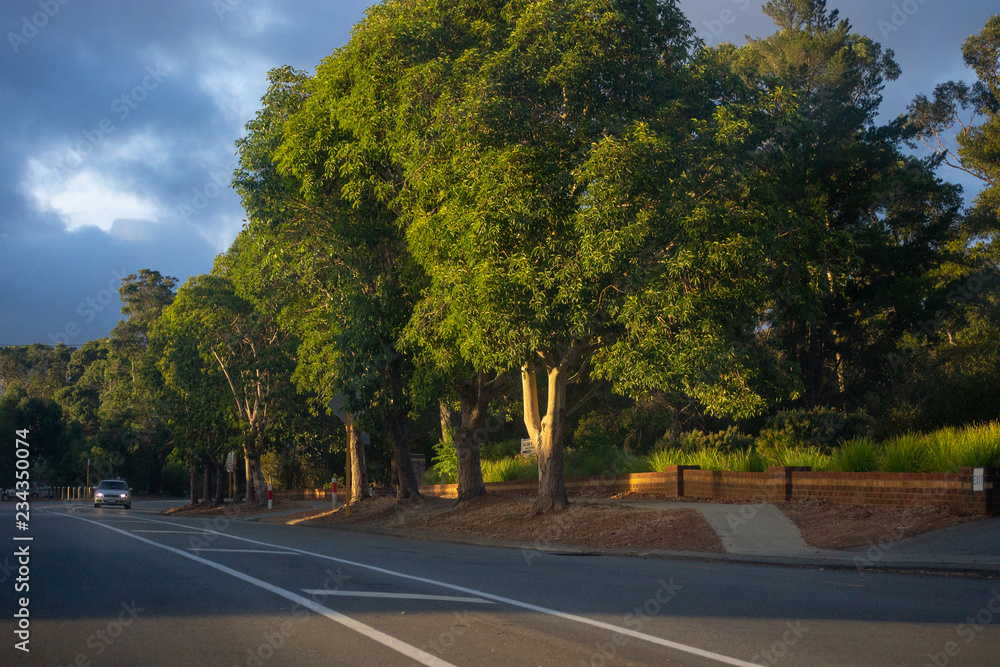 Landscape of a suburbian area Landscape of a suburbian area