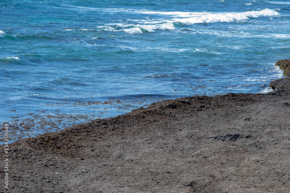Dettail of the waves of the ocean and the beach Dettail of the waves of the ocean and the beach