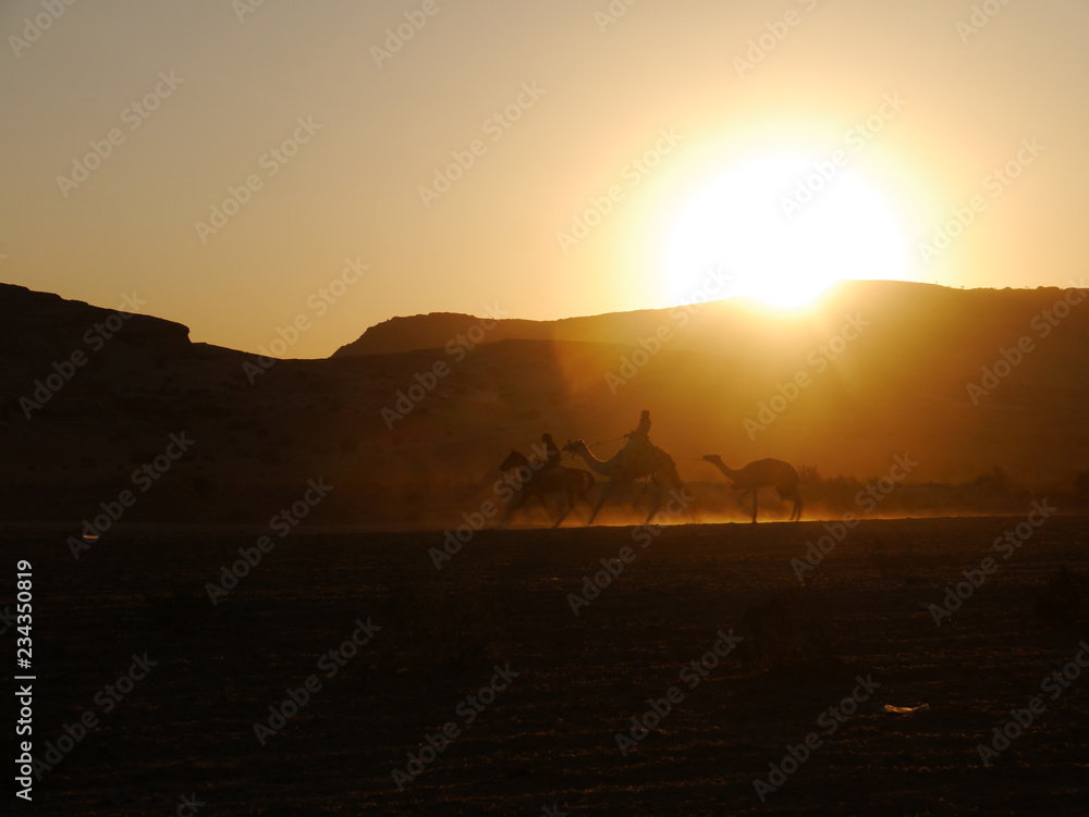 two camels and one horse riding in the sunset near Little Petra, Kingdom of Jordan