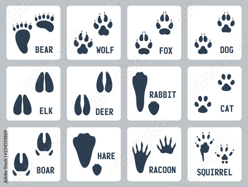 Animal tracks vector icons set