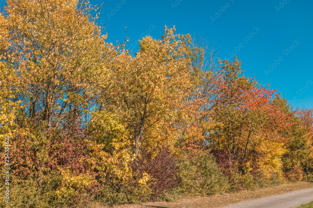 Naklejka premium Beautiful autumn view at Straubing danube port-Bavaria-Germany