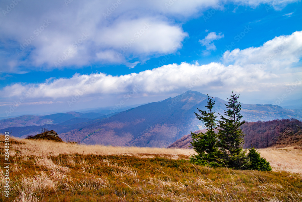 Obraz premium Landscape of autumnal peaks of the Carpathians.