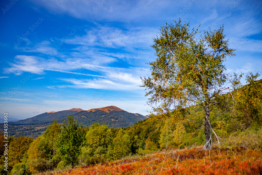 Obraz premium Landscape of autumnal peaks of the Carpathians.