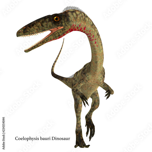 Coelophysis Dinosaur Front with Font - Coelophysis was a carnivorous theropod dinosaur that lived in North America during the Triassic Period.