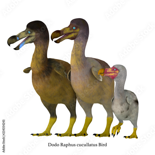 Dodo Bird Family with Font - The Dodo is an extinct flightless bird that lived on Mauritius Island in the Indian Ocean near Madagascar.
