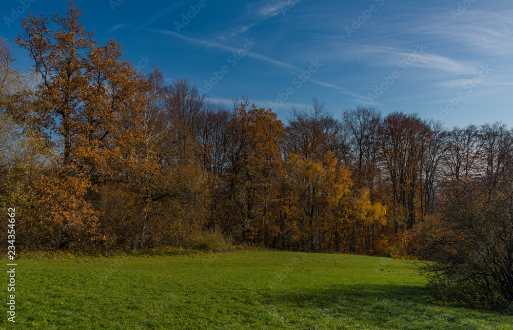 Path near nice autumn forest near Pitin village