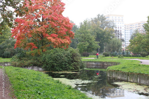 park in autumn © Elya