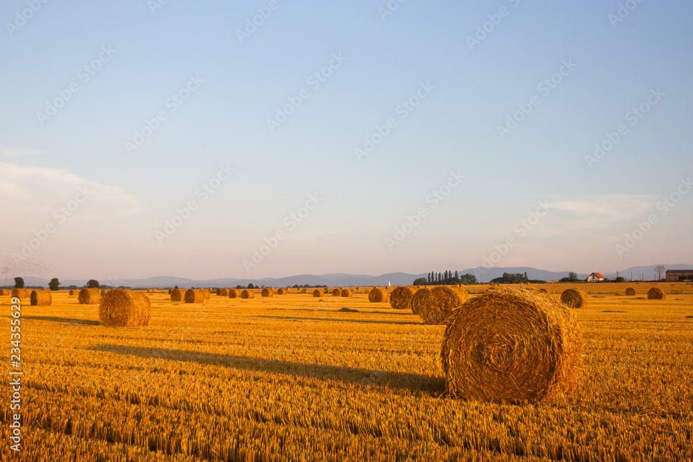 Straw rolls on field, Poland