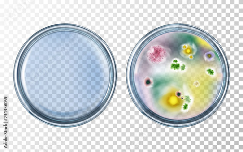 Petri dishes clean and with various bacterial microorganisms, mold cultures realistic vector isolated on transparent background. Science research, experiment concept. Laboratory equipment illustration