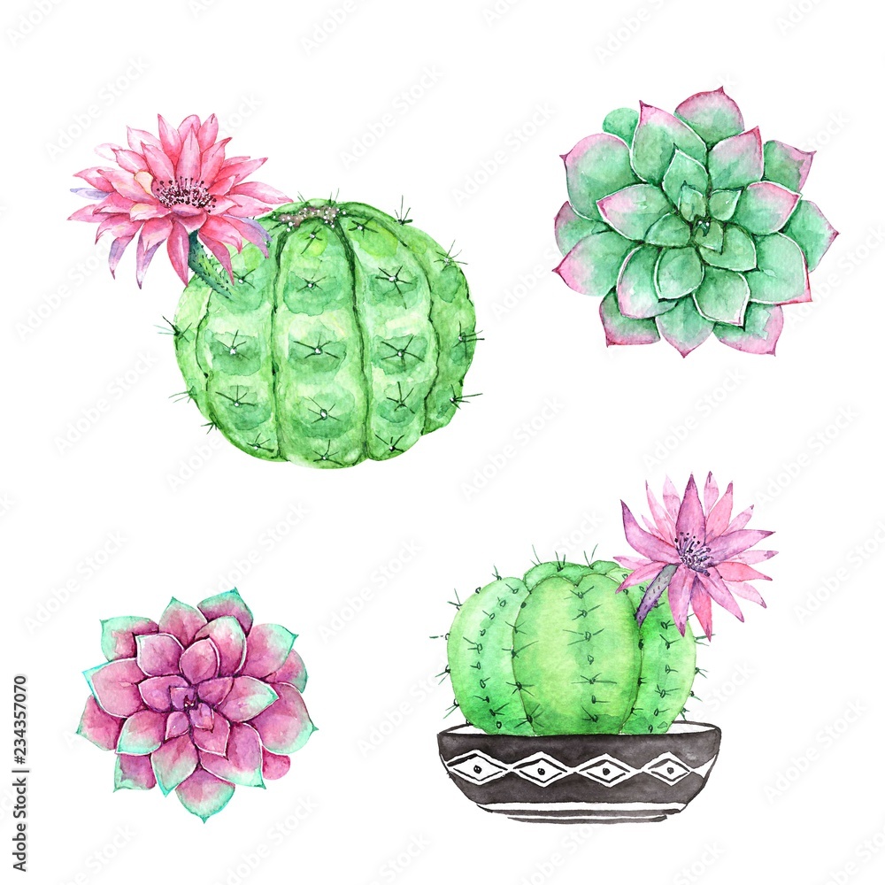 Cactus in Pot Outline Icon Illustration on White Background Suitable for  Gardening, Decoration, Plant 5622749 Vector Art at Vecteezy