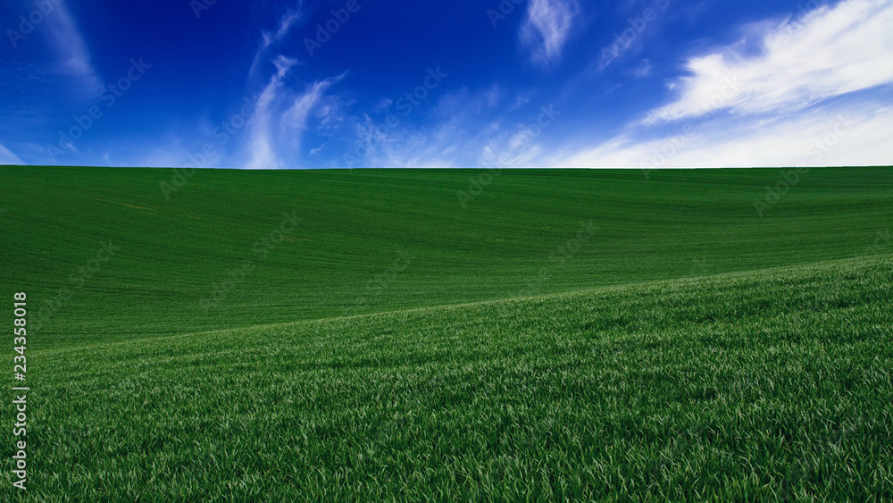 Fototapeta premium Abstract natural background