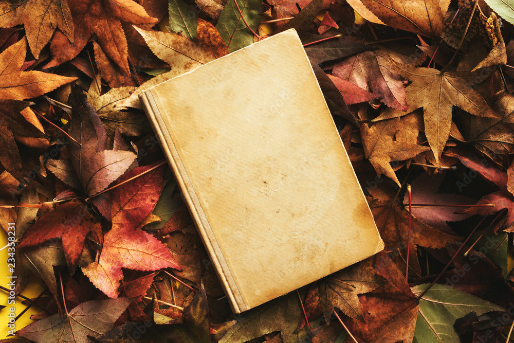 Obraz premium Old book and autumn leaves